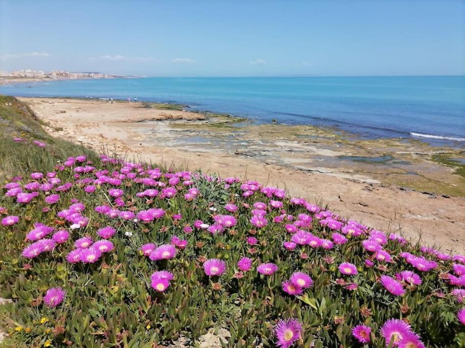 Brand New Apartment. 400 Meters Best Beach Торевьиа Экстерьер фото